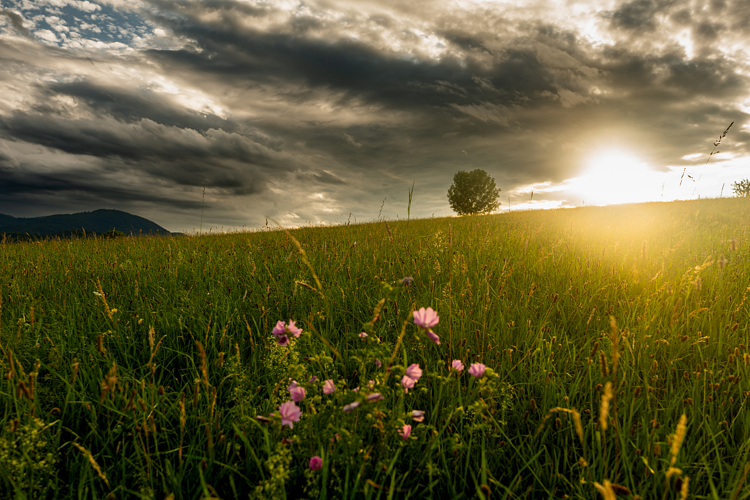 Jedno bouřkové odpoledne