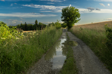 Galičky