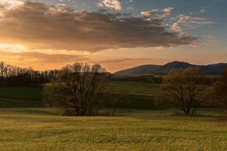 Kozlovice