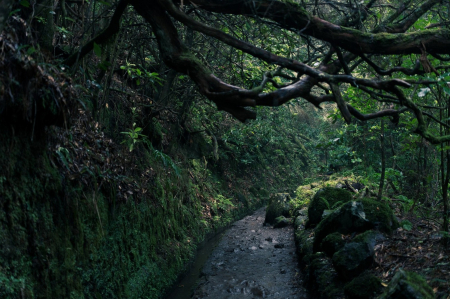 Madeira
