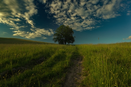 Podvečerní, Květnová