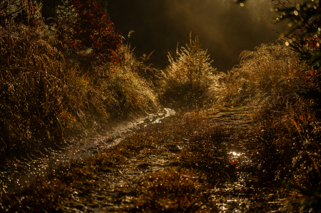 Podzimní království