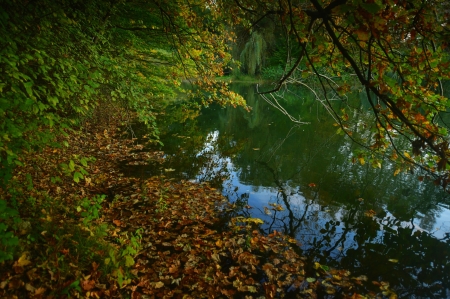 Podzimní zátiší, Větřkovice