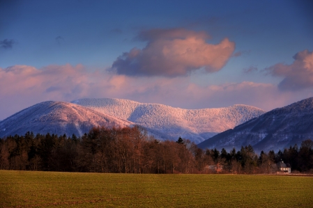 Žuchov